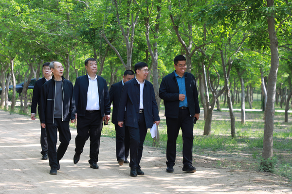 孟帅带队开展巡林活动